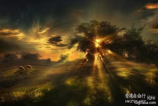 虛則欹，中則正，滿則覆  人生哲理