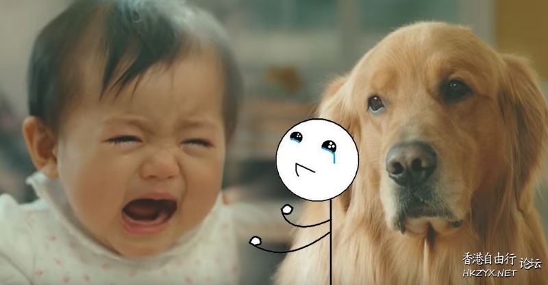   Pets 寵物護理 +紀念堂