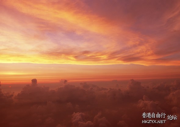   貼上 精華分享