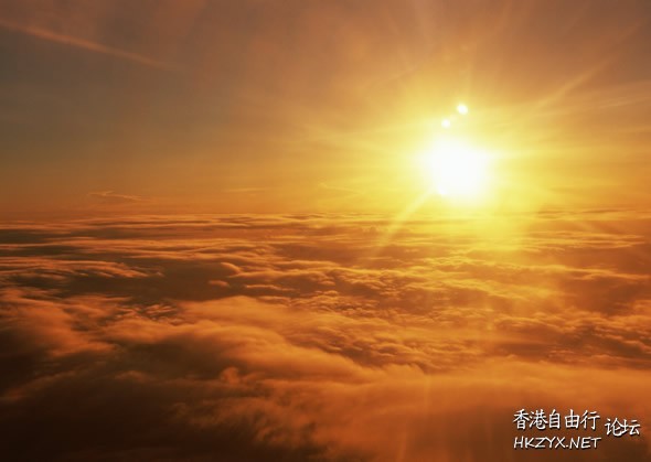   貼上 精華分享
