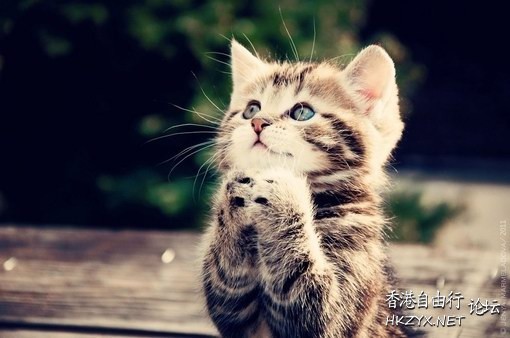 感恩人生中的六種貴人  Religious 宗教