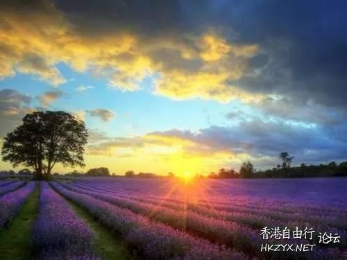   Photography 攝影特區