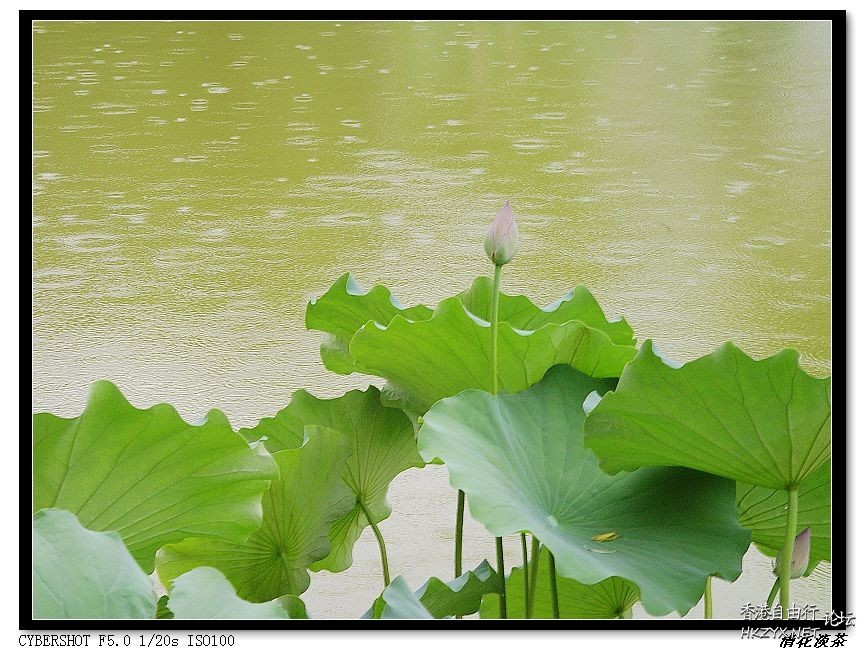 緣分?  永遠無法解釋.  山水花林啓唔人生