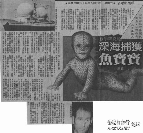   歷史回顧