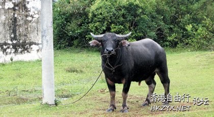 股民的性生活-Joke  解悶園地