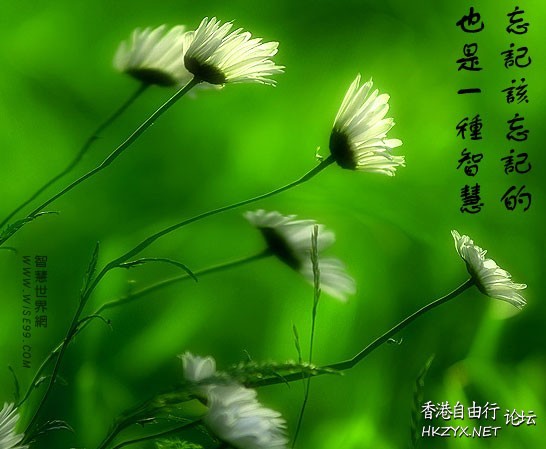   男人吹水亭