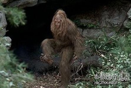 超自然未解之谜  世界奇闻