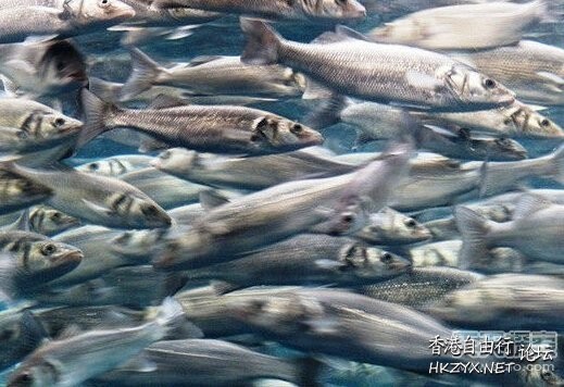 超自然未解之谜  世界奇闻