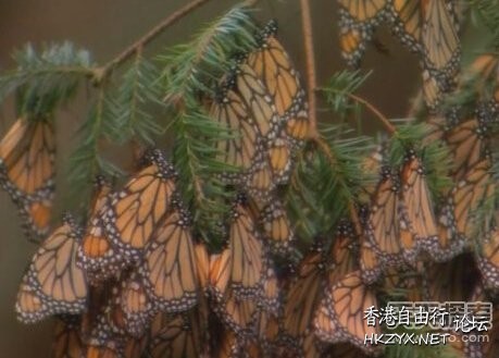 超自然未解之谜  世界奇闻