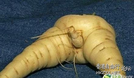 摸奶一下 - 喝一杯酒  Nonsensical 無厘頭图片