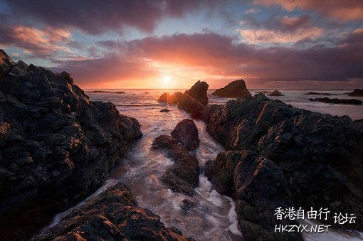   貼上 精華分享