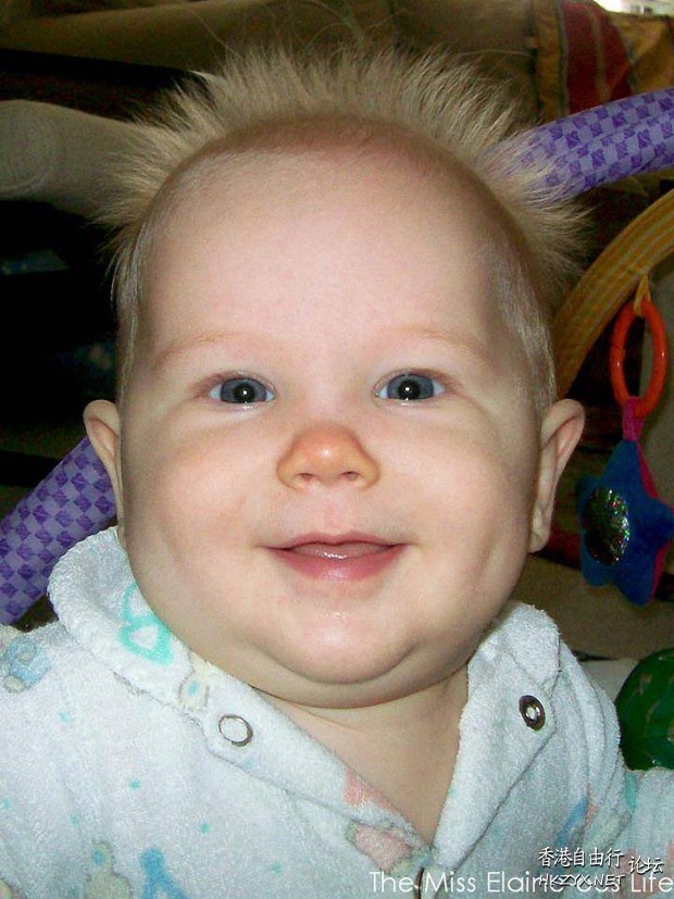 Baby 髮型奇特放異彩  Funny Baby