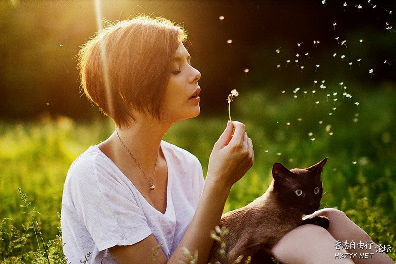   Photography 攝影特區