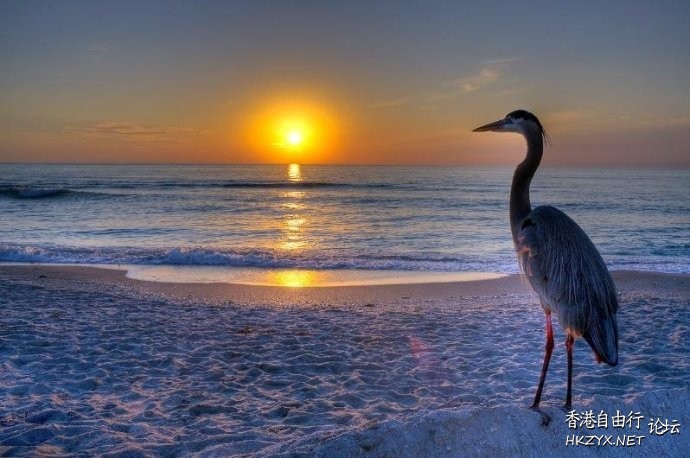   Sunset 夕陽