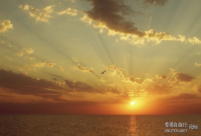   Sunset 夕陽