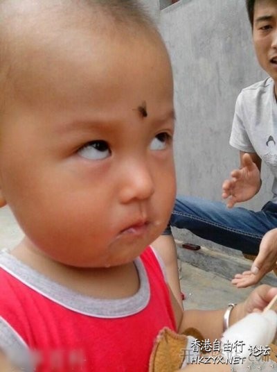  Baby 虾仔虾女