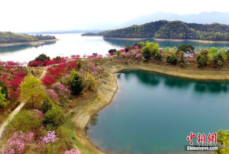 江西廬山西海變“花海”  ChinaTravel 中國觀光景點
