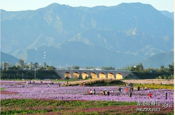 江西廬山西海變“花海”  ChinaTravel 中國觀光景點