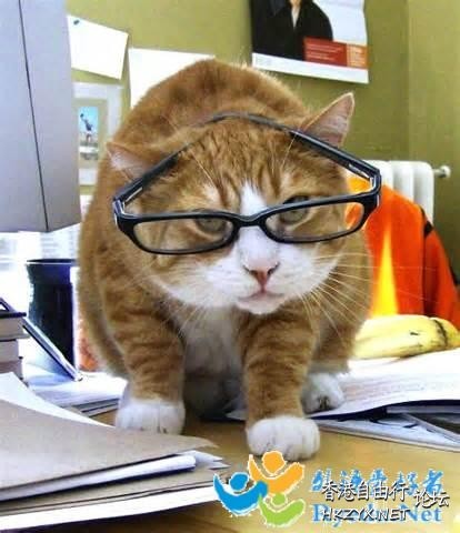   解悶園地