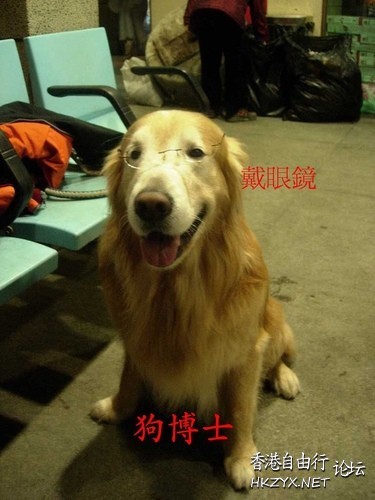   解悶園地
