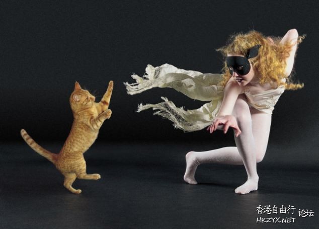   Pets 寵物護理 +紀念堂
