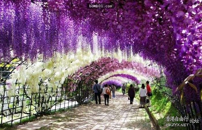 走一遭世界最美街道  World Trave...欧美