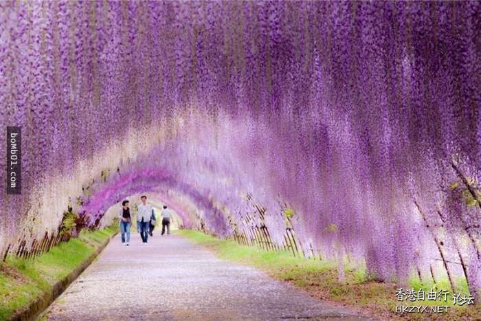 走一遭世界最美街道  World Trave...欧美