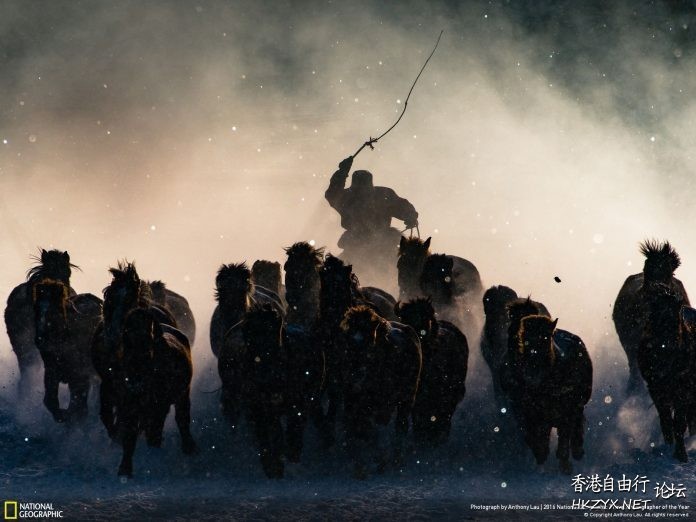 摄影月赛四月作品精选  Photography 攝影特區