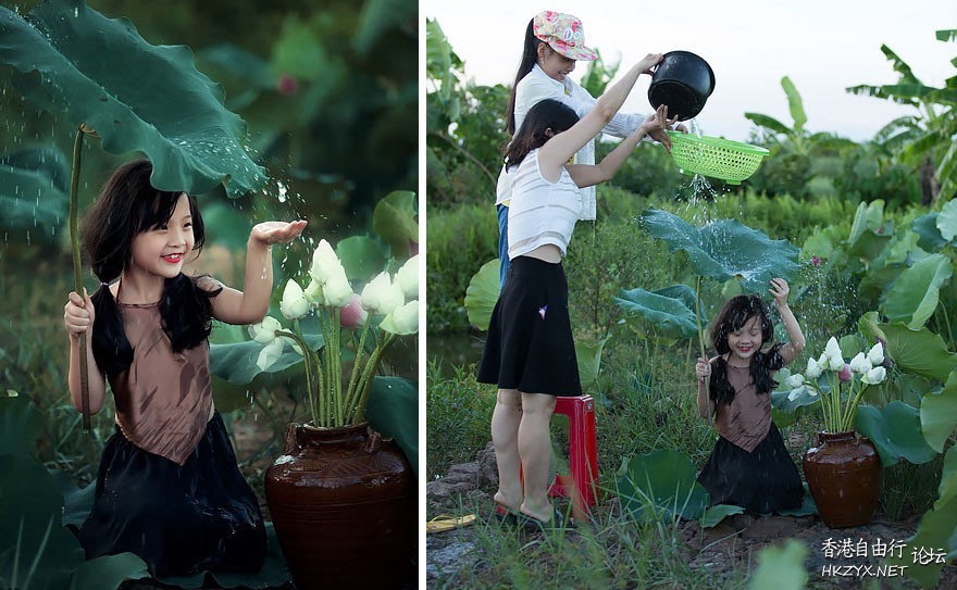 荷花、雨水、萌妹子  Flowers花卉