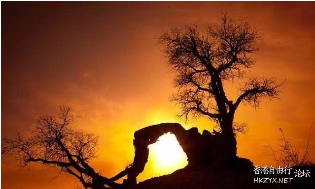 人生如夢如餘暉  Sunset 夕陽