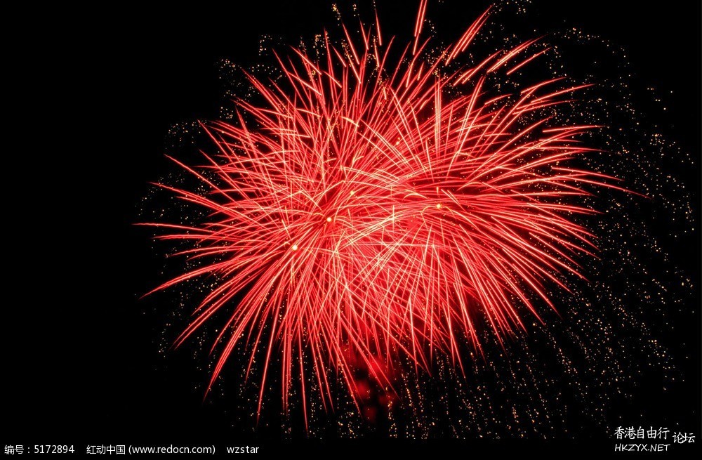 烟花绽放 ....  [高清版]  Fireworks 烟花