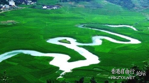 生命之河沉澱了年歲  文学欣賞