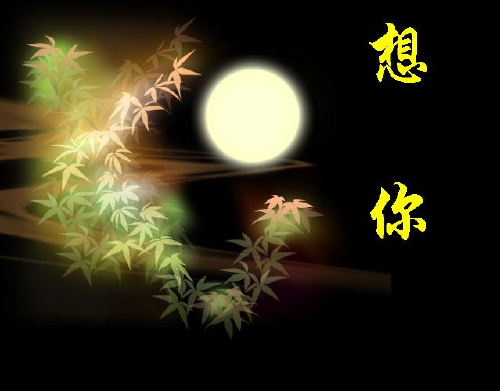   Flowers花卉
