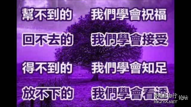心靈同你的心靈講話  愛情感悟