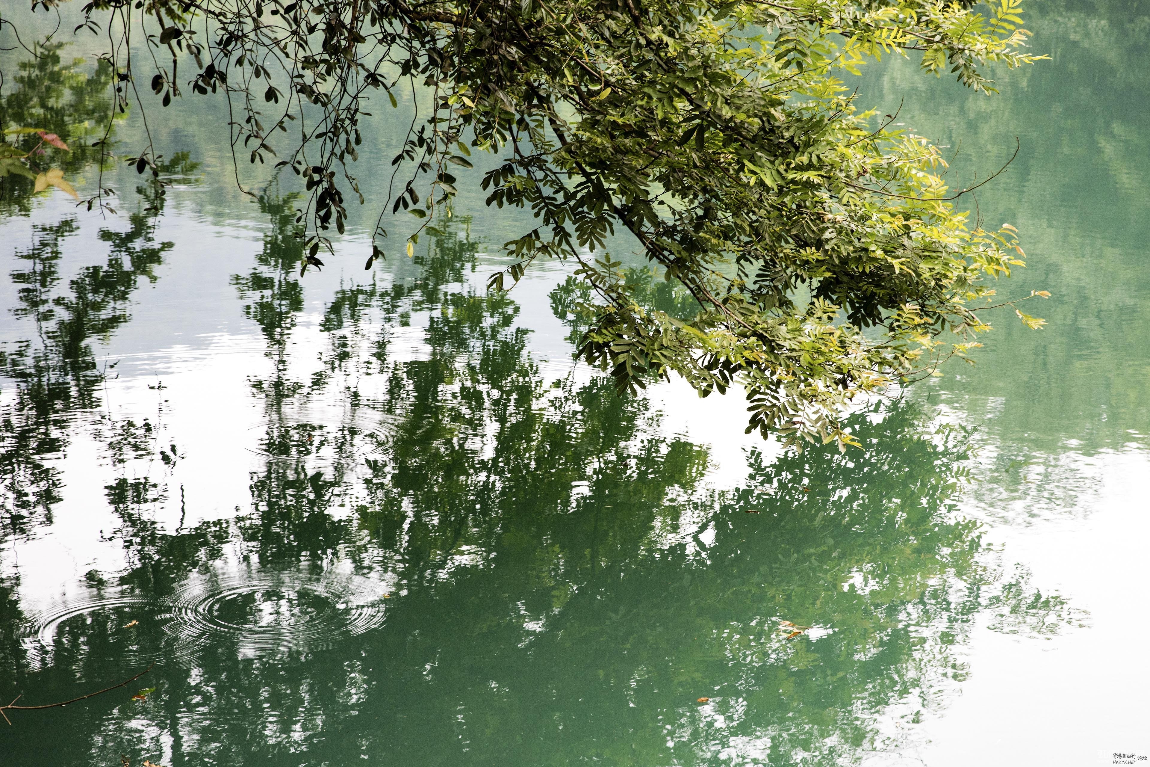    Landscape 山水湖林