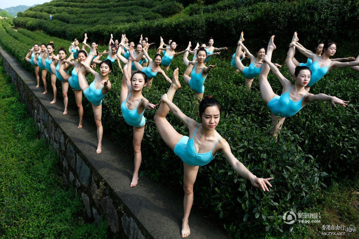 芭蕾美女泳装现身茶园  瑜伽美体图片