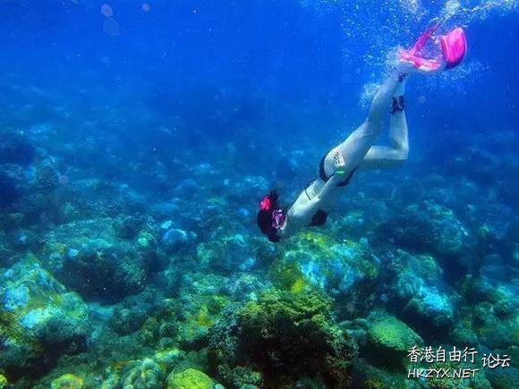   海洋生態