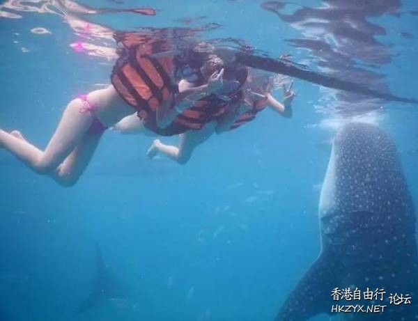 不是经典我不发  World Travel 世界旅遊
