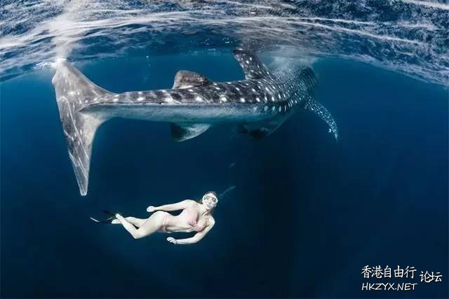   海洋生態