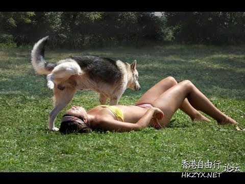 最後卻看到笑不出來   一天三笑 + 解悶處