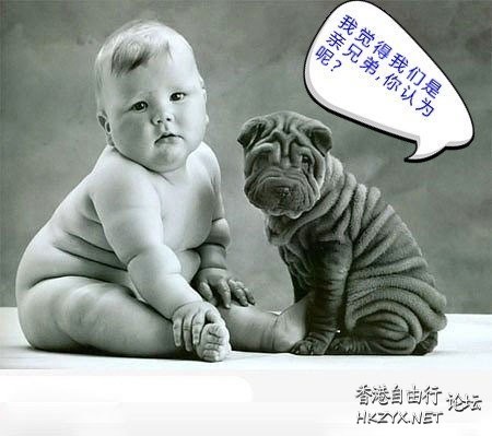   Pets 寵物護理 +紀念堂