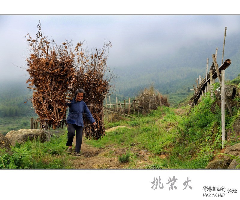   貼上 精華分享