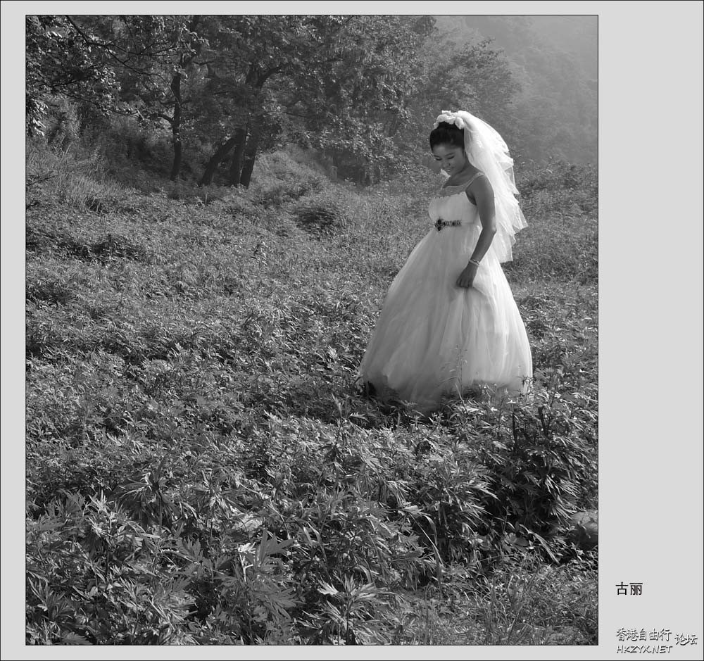 因为爱情，不会轻易悲伤  婚礼服務