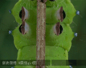    一天三笑 + 解悶處
