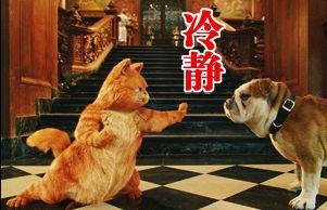   Pets 寵物護理 +紀念堂