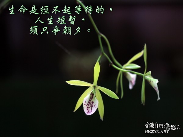 布施者得財 ,越施越富  佛教