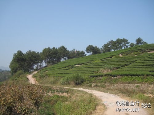 寻访武夷山小武夷  ChinaTravel 中國觀光景點