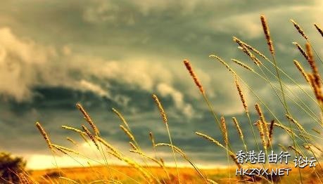 終有一天成了煙雲  Philosophy of life感悟人生