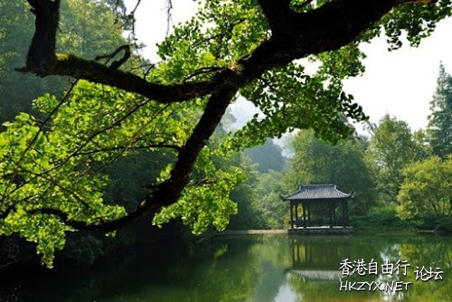 如何消除內心的痛苦 ?  佛教