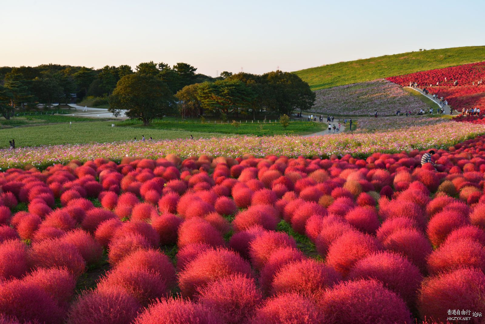 日本茨城賞紅葉  World Travel 世界旅遊